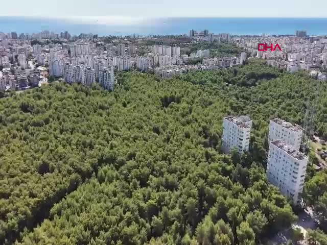 Antalya Konyaaltı'nda Orman Genel