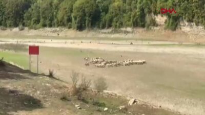 İstanbul’un Su Krizi Derinleşiyor: Barajlardaki Doluluk Oranı Yüzde 29’a Düştü!