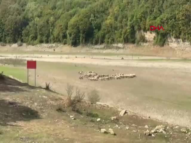 İstanbul'un su kaynakları alarm