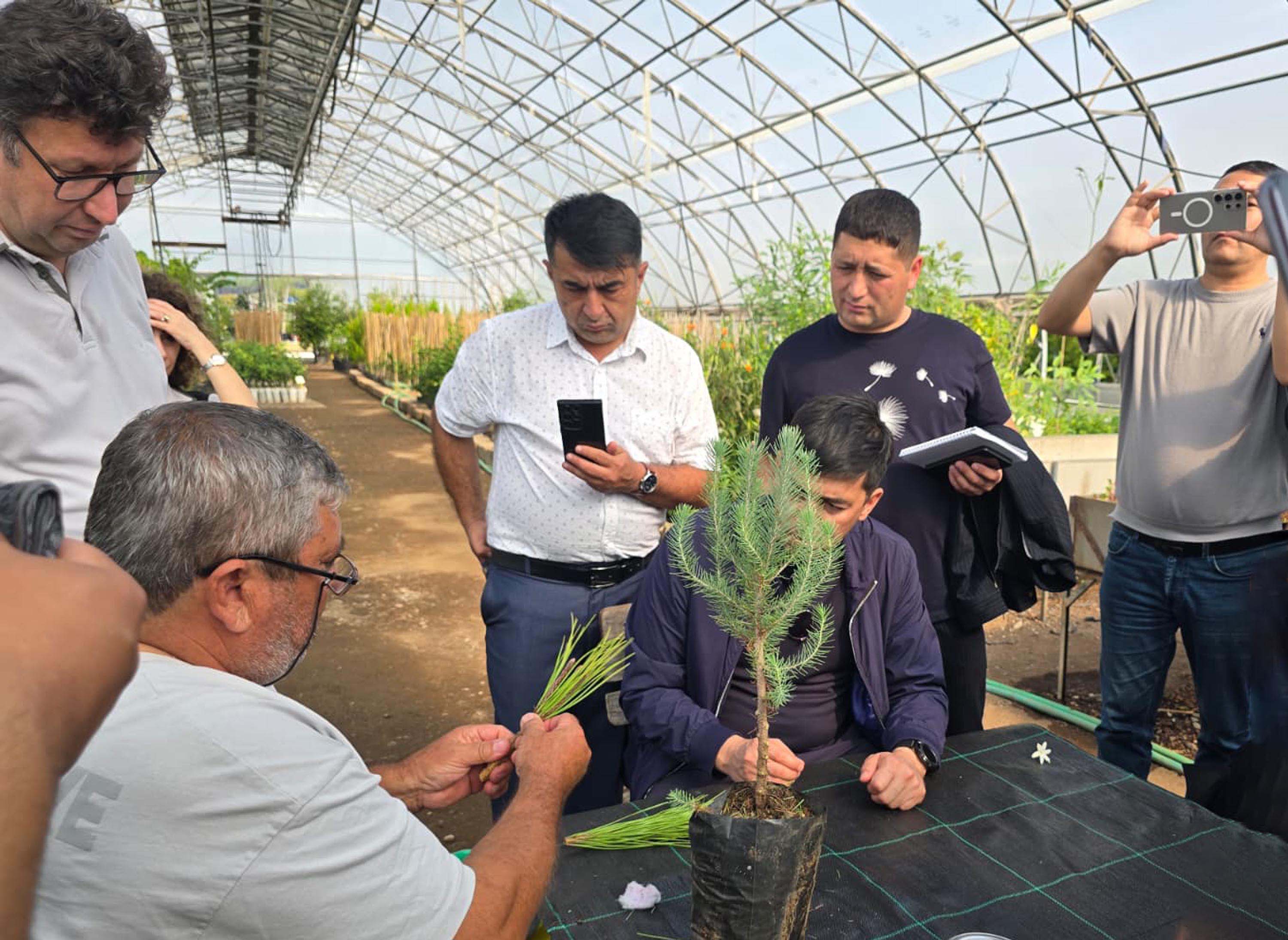 Özbekistan’dan Muğla’ya Ormancılık İş Birliği Heyeti: Teknik İncelemeler Tamamlandı