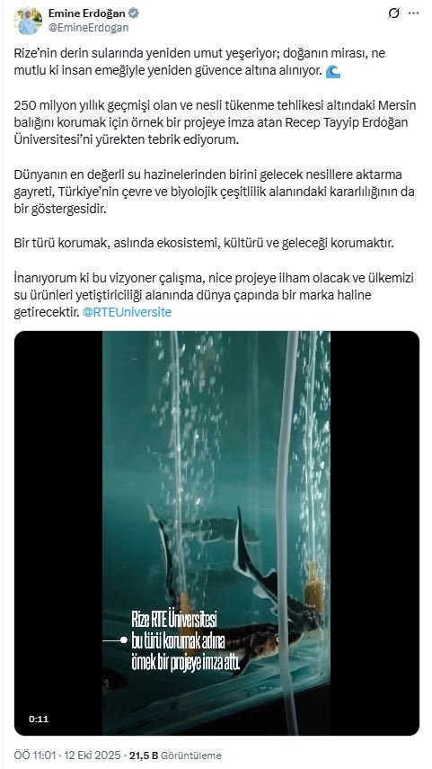 Emine Erdoğan’dan Mersin Balığı Koruma Projesine Tam Destek: “250 Milyon Yıllık Miras Koruma Altında”