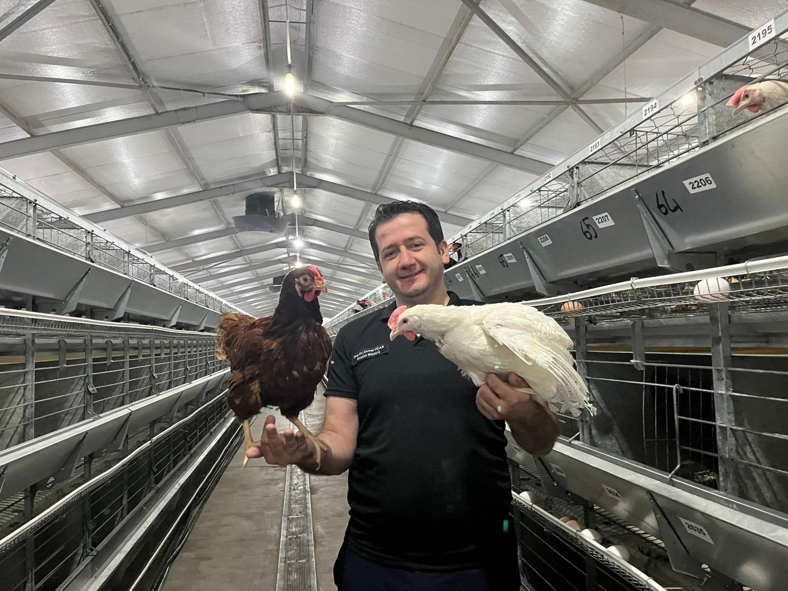 Tavukçulukta Devrim: Yapay Zeka ile Yerli Damızlık Üretimi Başlıyor!