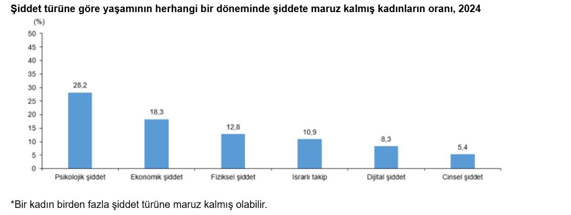 TÜİK'in kadına yönelik şiddet