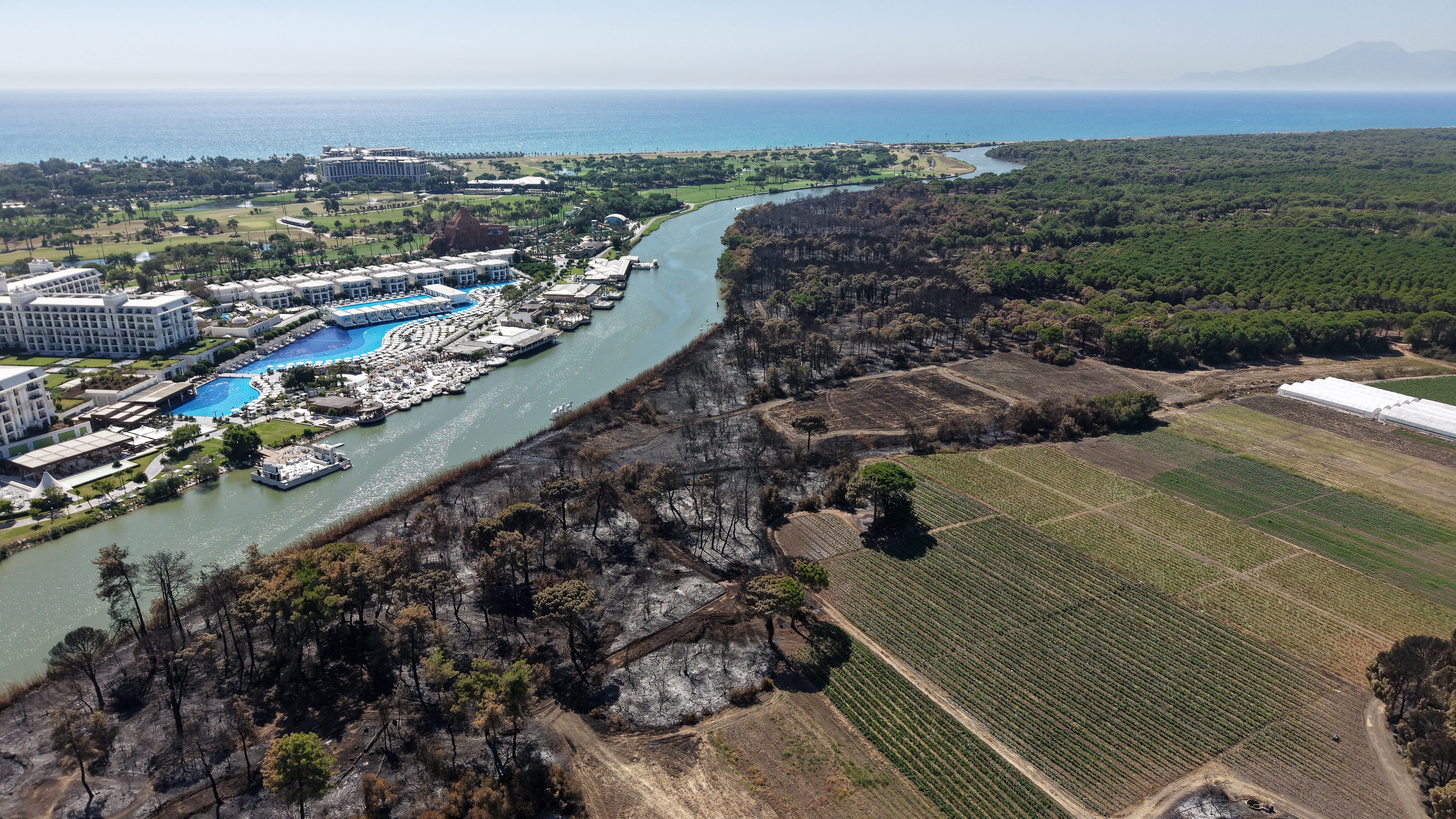 Antalya Kumköy'de çıkan orman
