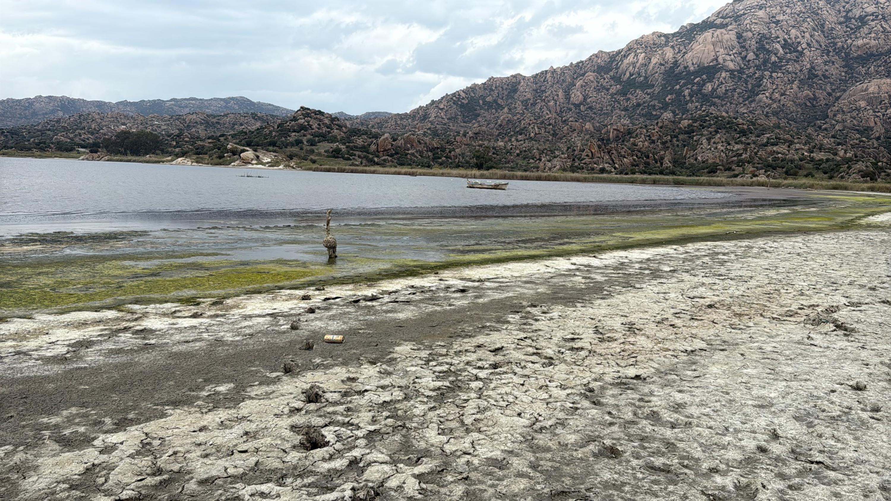 Bafa Gölü’ne Büyük Menderes’ten Hayat Suyu: 50 Metrelik Çekilme Son Buluyor Bafa Gölü'nde yaşanan 50