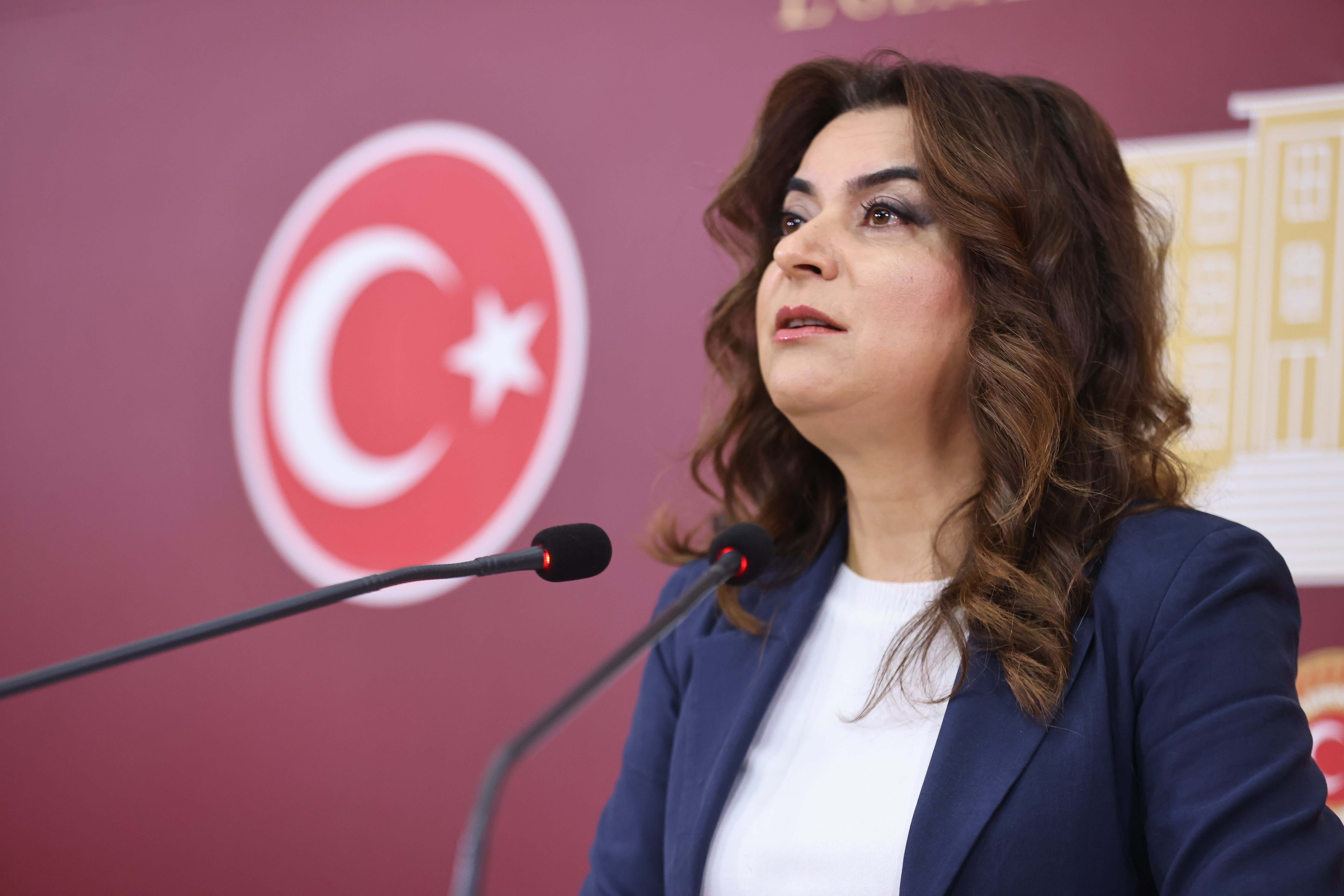 DEM Parti Grup Başkanvekili