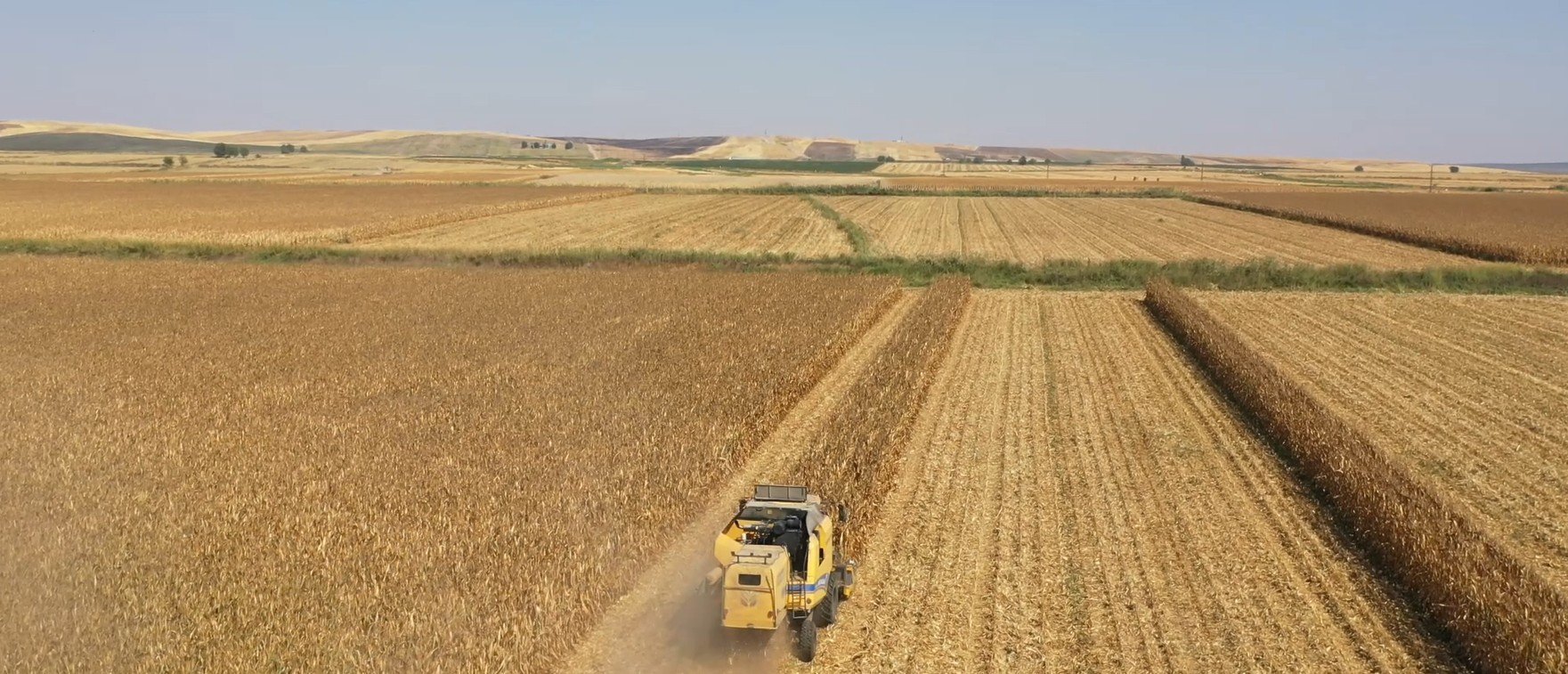 Tarımda Devrim: Biçerdöver Hibesiyle Hasat Süresi 300 Saatten 3 Dakikaya İndi!