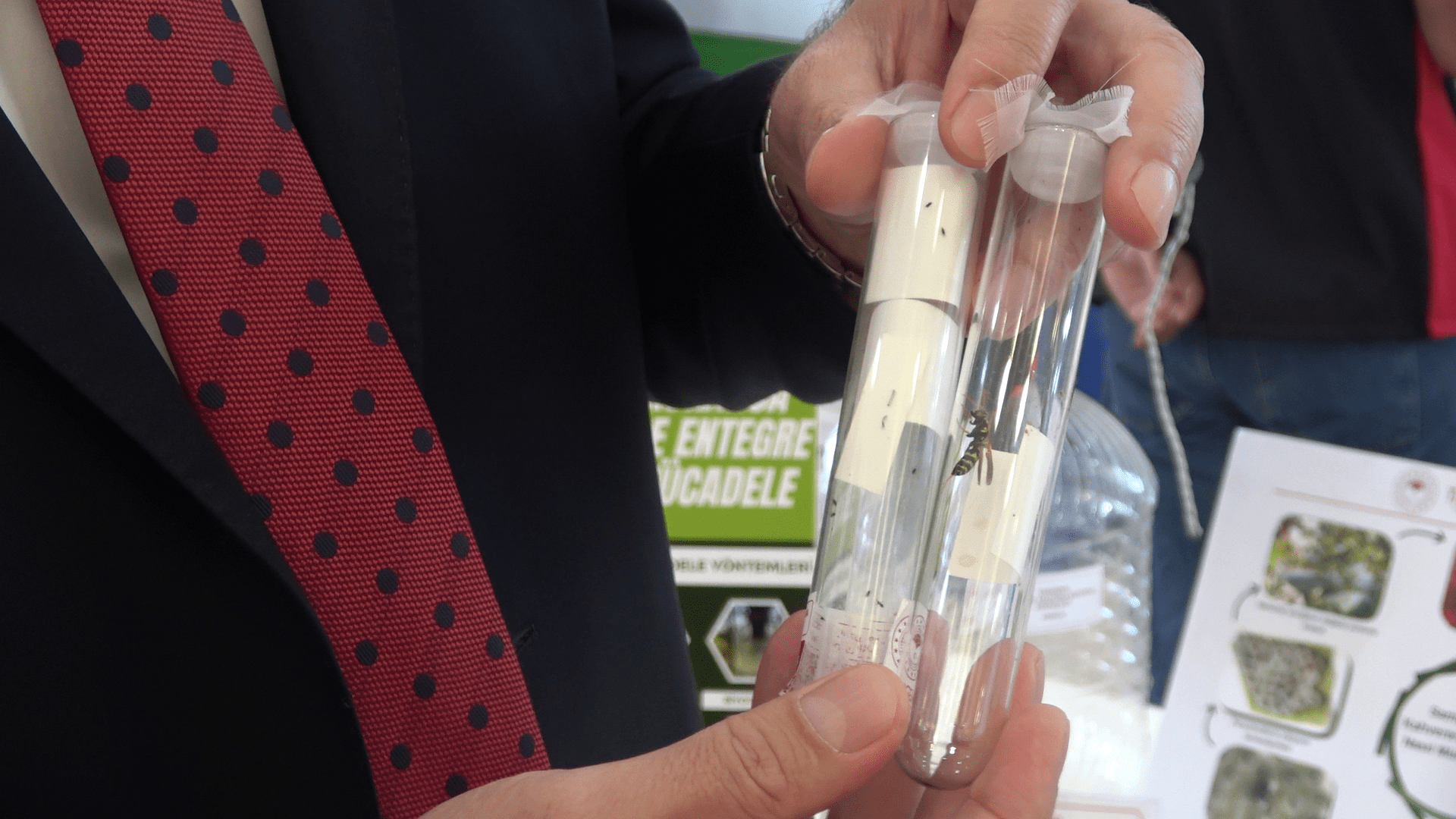 Tarım Bakanlığı’ndan Kahverengi Kokarcayla Mücadelede Dev Hamle: 1 Milyon 156 Bin Samuray Arısı Doğaya Salındı!