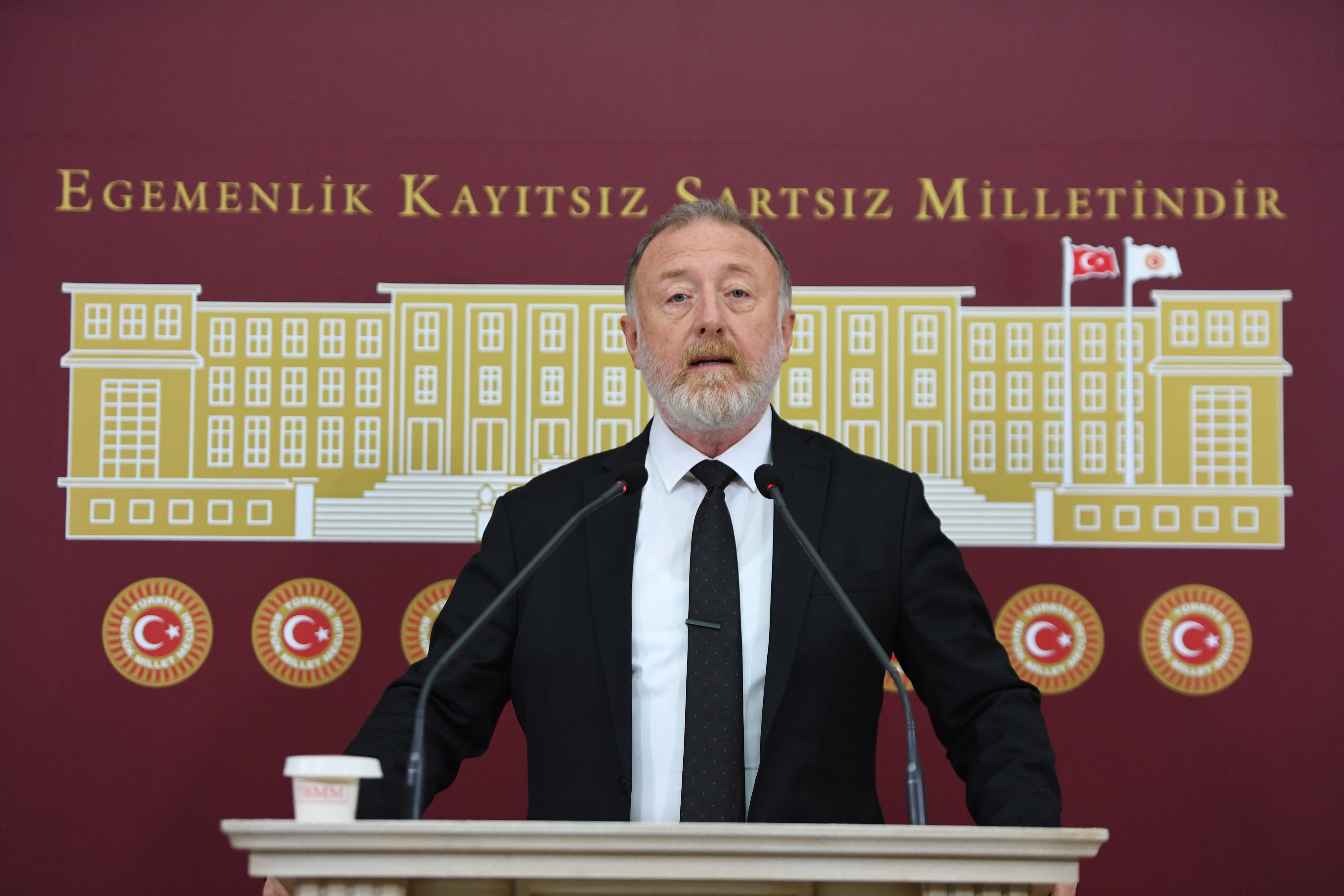 DEM Parti Grup Başkanvekili