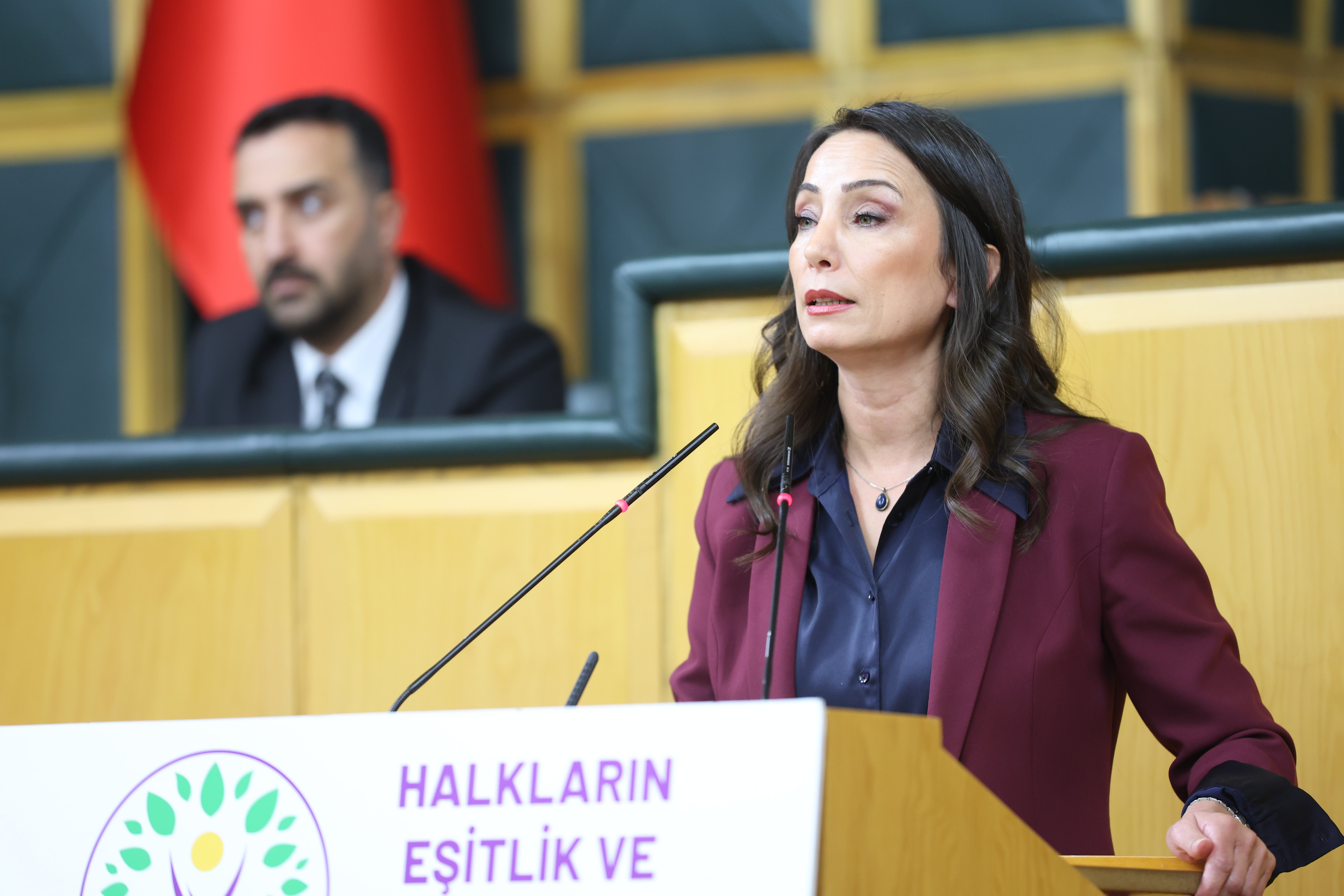DEM Parti Eş Genel