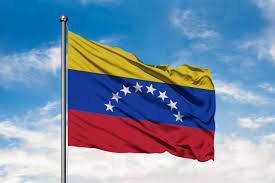 Venezuela Savunma Bakanı Vladimir