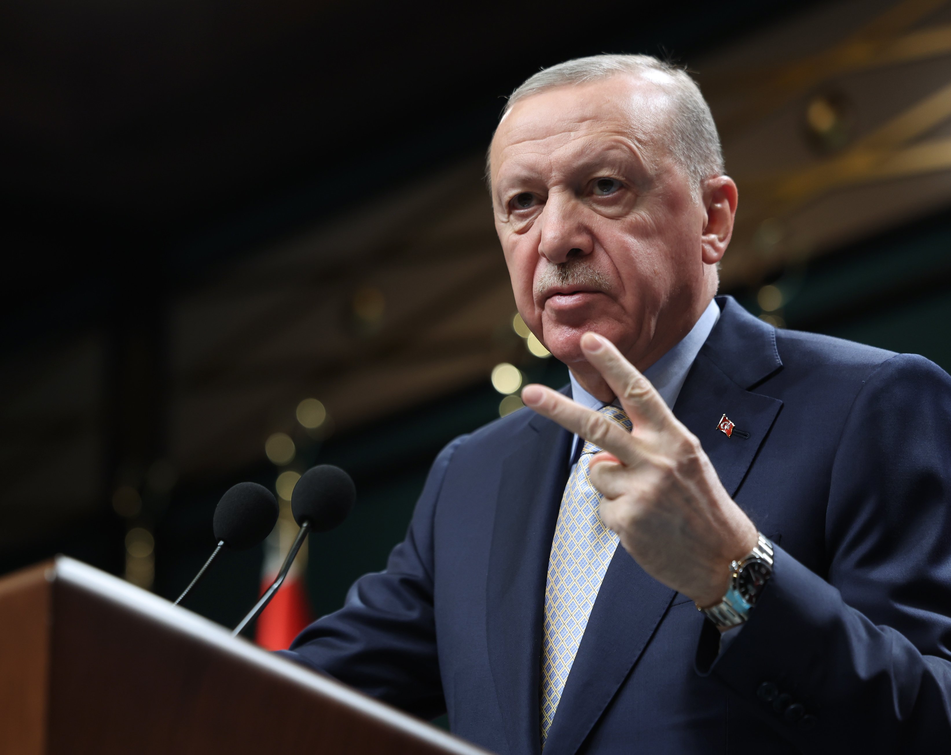 Cumhurbaşkanı Recep Tayyip Erdoğan,