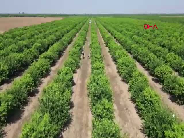 Adana Tarım Platformu Sözcüsü