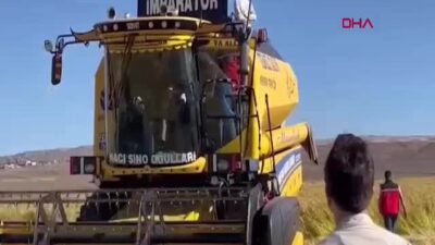 Coğrafi İşaretli Karacadağ Çeltiği Hasadı Başladı: Diyarbakır’ın Gururu Tarlalarda