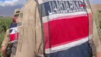 Hatay Jandarması Pamuk Tarlasında KADES Bilinci Oluşturdu