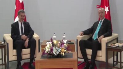 Cumhurbaşkanı Recep Tayyip Erdoğan, Gürcistan