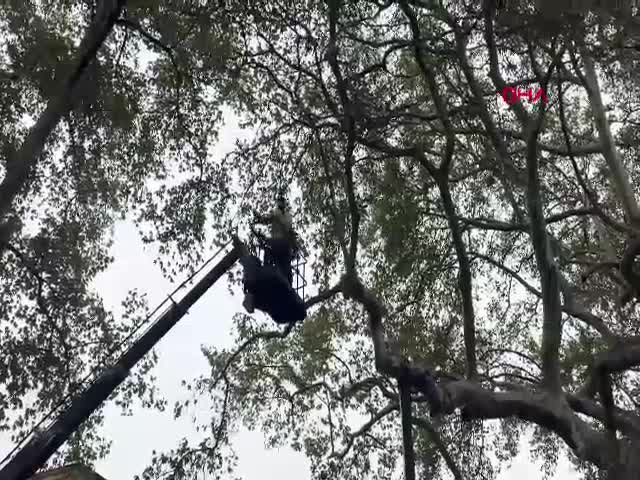 Isparta Yalvaç'ta 800 yıllık