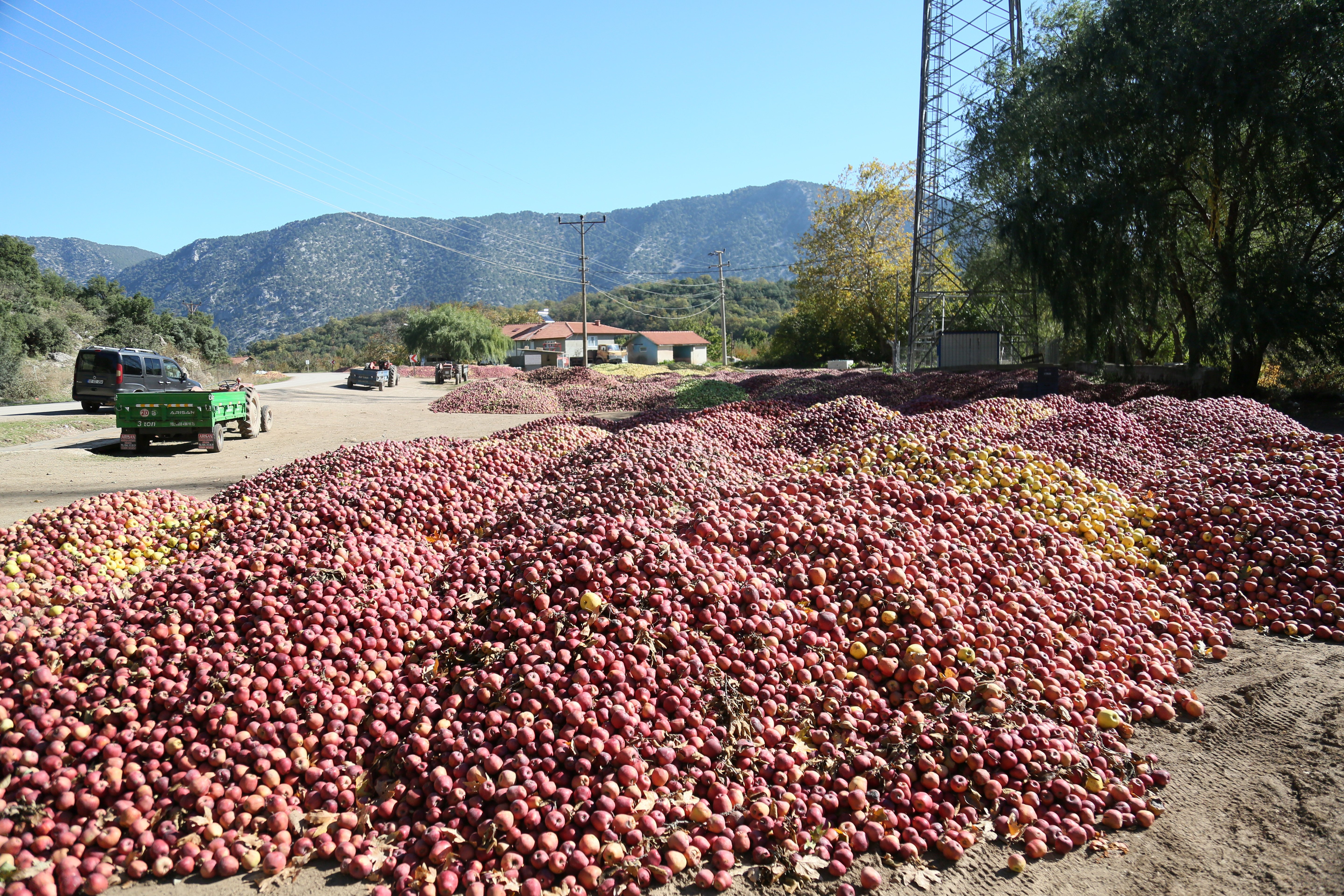 Eğirdir’de Kuraklık Felaketi: Elma Üreticileri Yüzde 40 Kayıp Yaşadı!