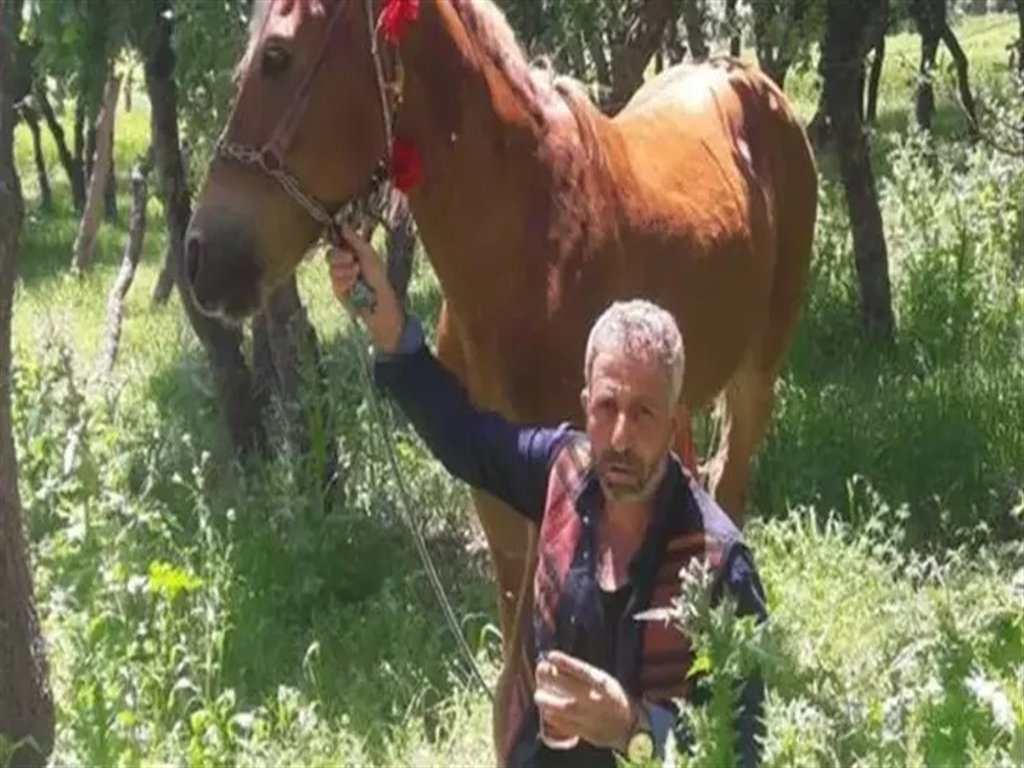 Diyarbakır'ın Ergani ilçesinde cezaevinden