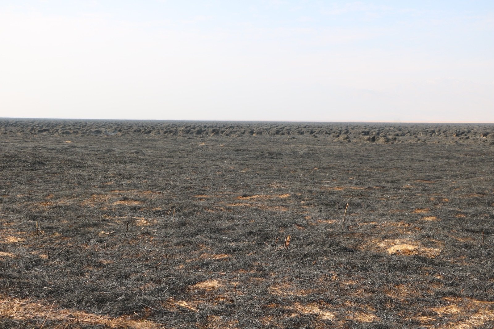 Hakkari’deki Nehil Sazlığı Yangınında Kritik Müdahale: 4 Gün Süren Mücadele Sonuç Verdi