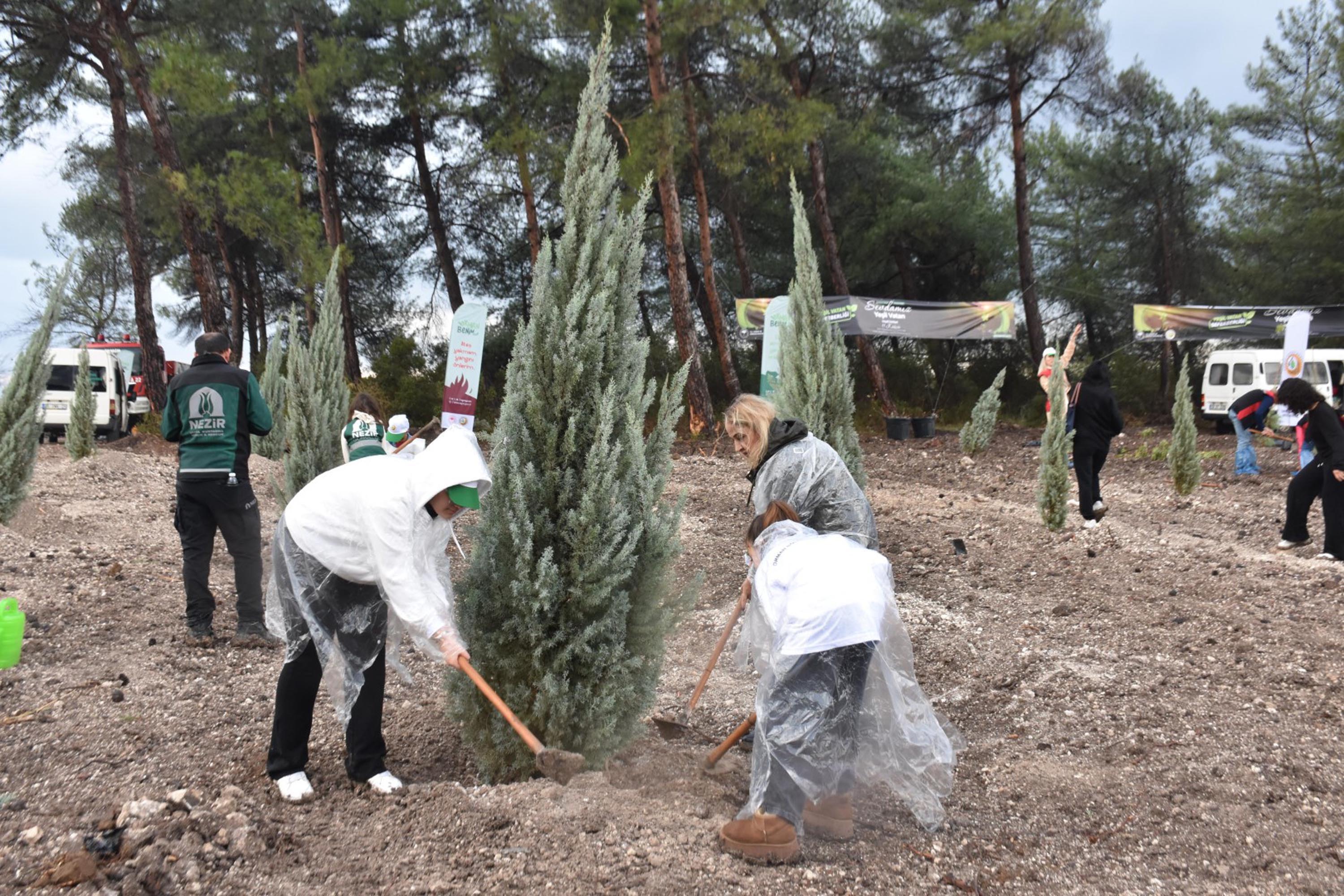 İzmir’de 115 Bin Fidan Toprakla Buluştu: Yeşil Vatan Seferberliği Devam Ediyor