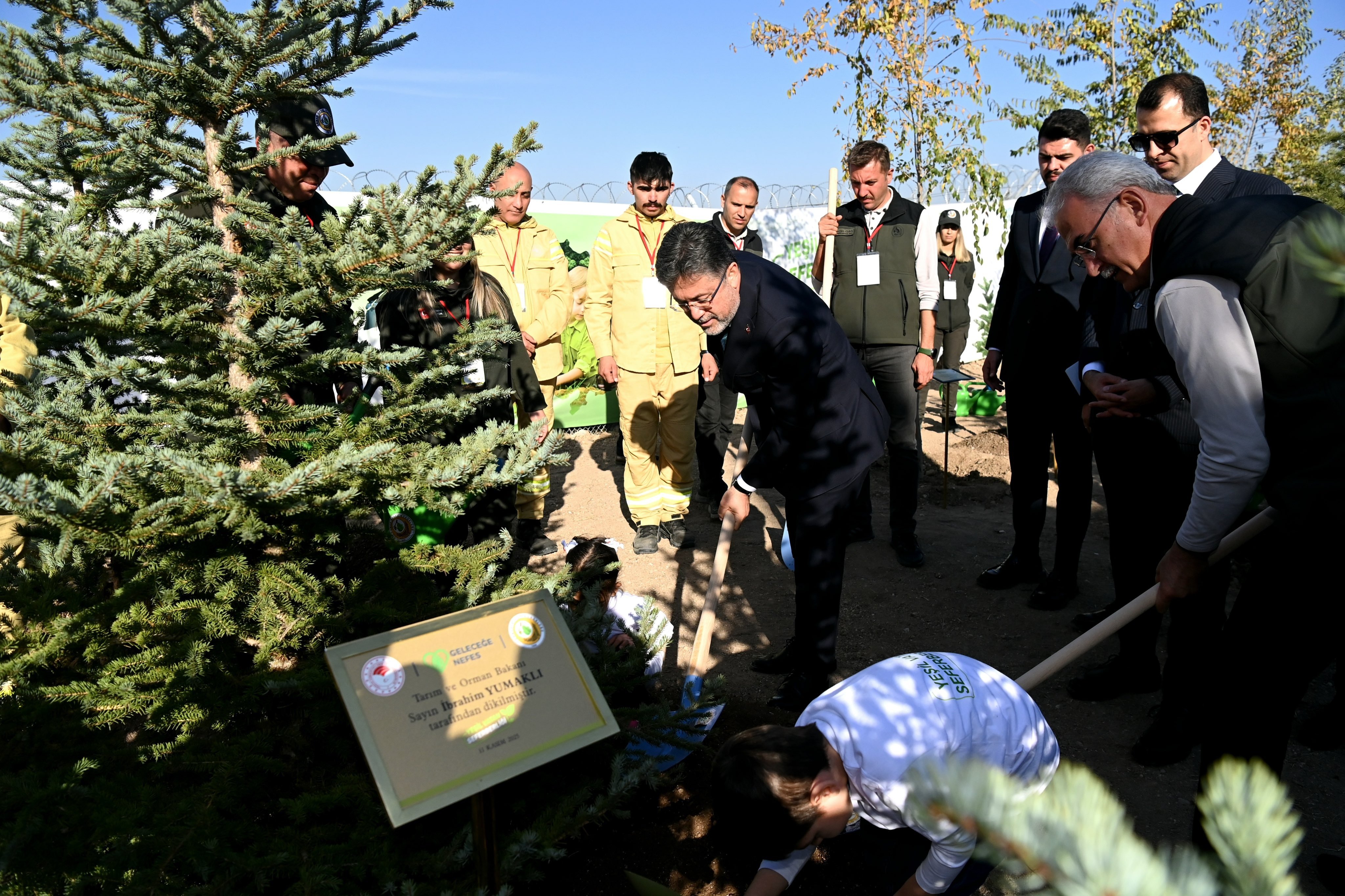 Türkiye’den Tarihi Rekor: 11 Kasım’da 14 Milyon 914 Bin Fidan Toprakla Buluştu