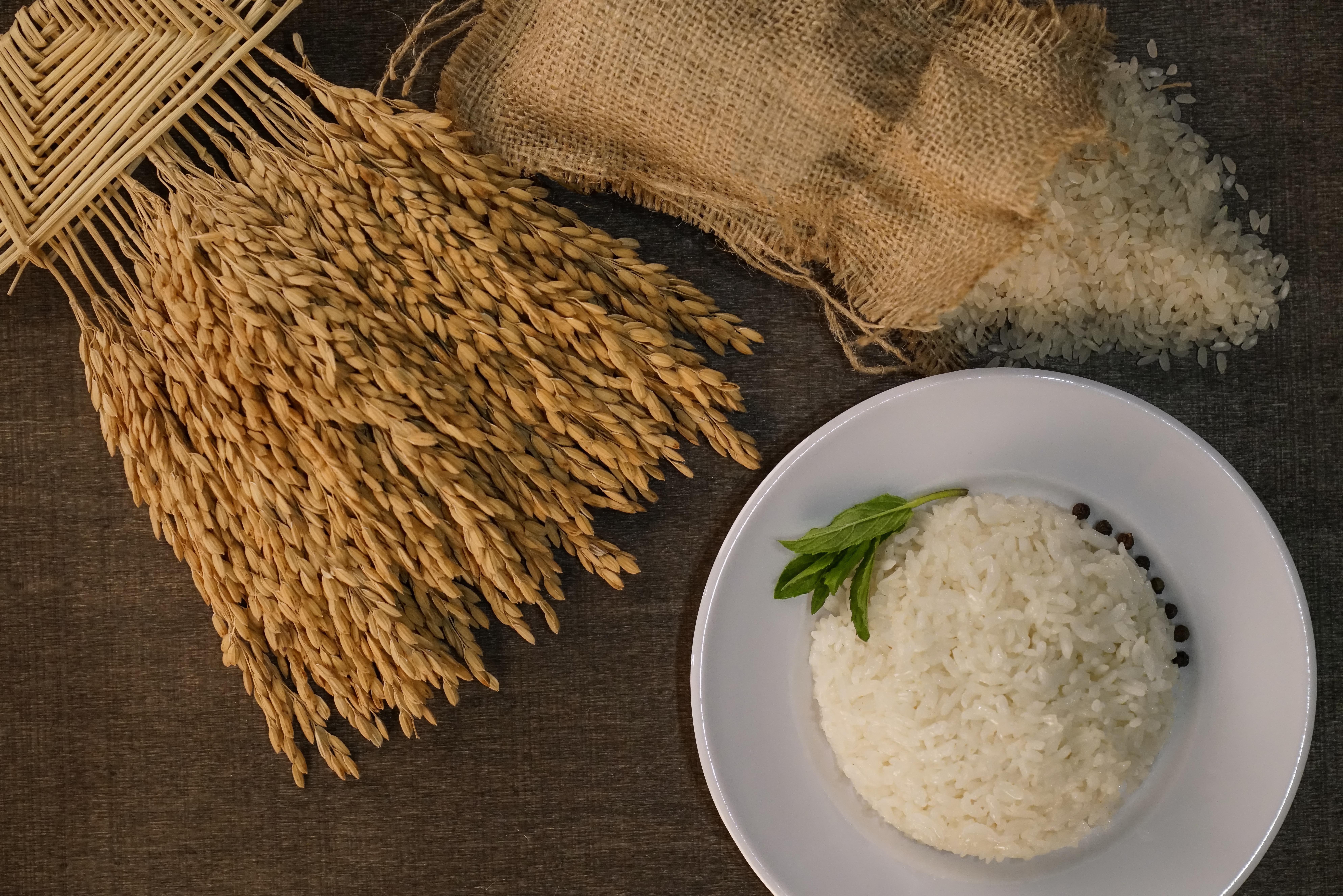 İpsala Pirinci Tarihi Başarıya İmza Attı: AB Coğrafi İşaret Tescili Aldı!