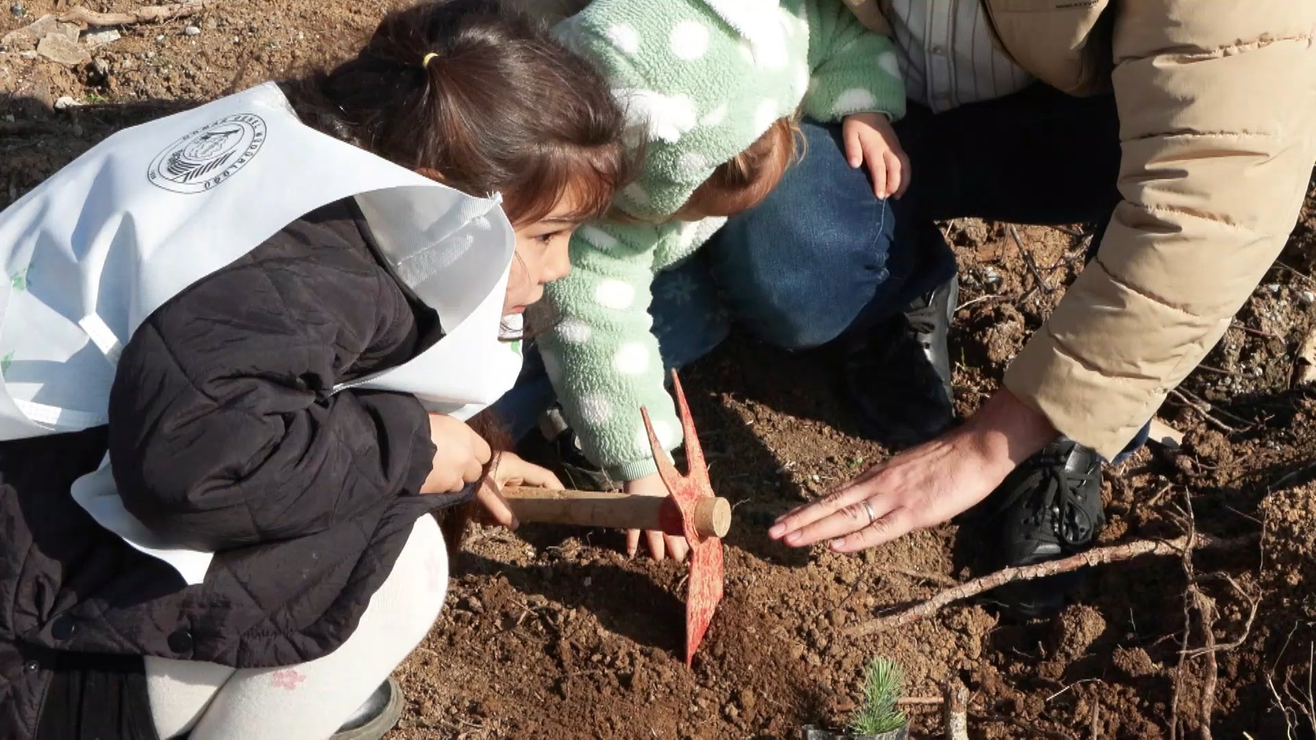 Gazze’de Şehit Olan Çocuklar İçin İstanbul’da 10 Bin Fidan Toprakla Buluştu