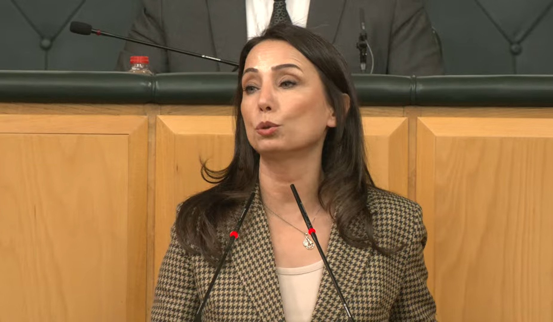 DEM Parti’li Hatimoğulları: Komisyonun Öcalan ile Görüşmesi Süreci Hızlandıracak