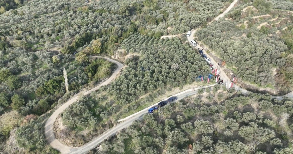 Hatay’da Zeytin Hasadı Başladı: 201 Bin Ton Rekolte Bekleniyor