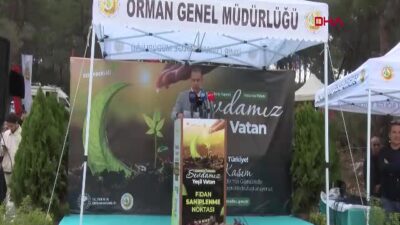 İzmir’de 115 Bin Fidan Toprakla Buluştu: AK Partili Milletvekillerinden Anlamlı Katılım