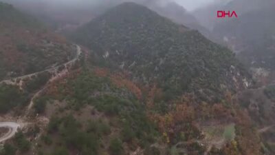 MHP’li Bulut’tan Taş Ocağına Karşı Çıkan Vatandaşlara Tam Destek: ‘Hiçbir Maden Bir Ağaçtan Kıymetli Değil’