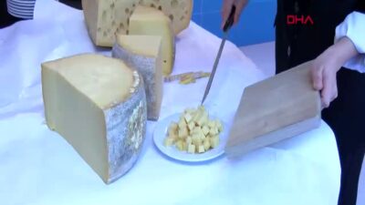 Tarım ve Orman Bakan Yardımcısı