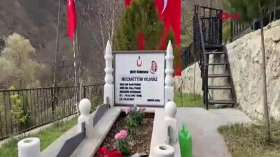 Terör örgütü PKK tarafından şehit