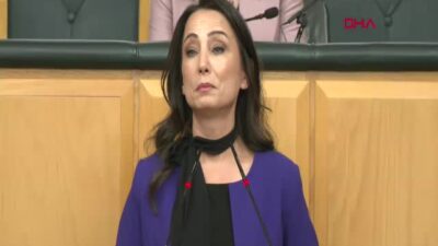 DEM Parti Eş Genel Başkanı