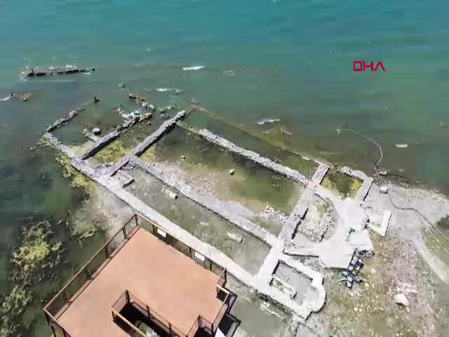 Papa 14'üncü Leo, göreve