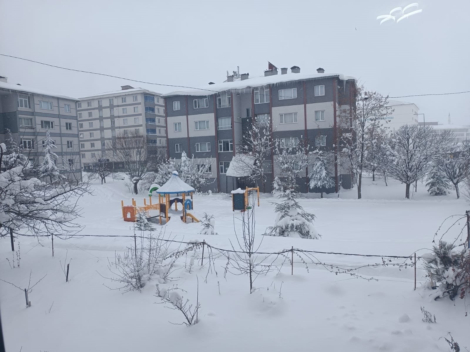 Bitlis'te etkili olan kar