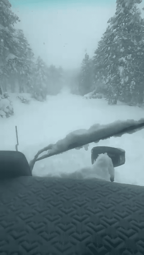 Bolu'da yoğun kar yağışı