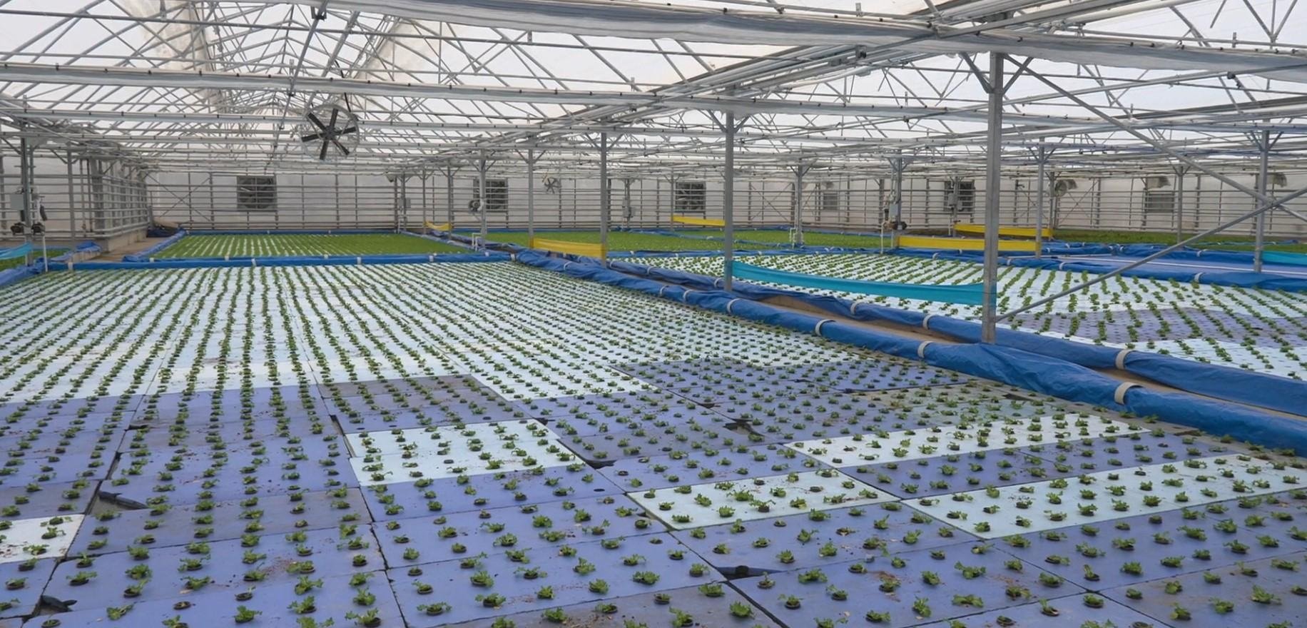 Haymana Belediyesi, termal atık suları