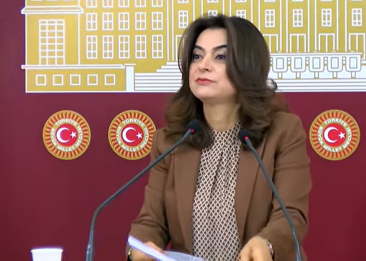 DEM Parti’den TBMM’ye Çağrı: ‘Yeni Bir Türkiye İçin Barış Yasası Şart’