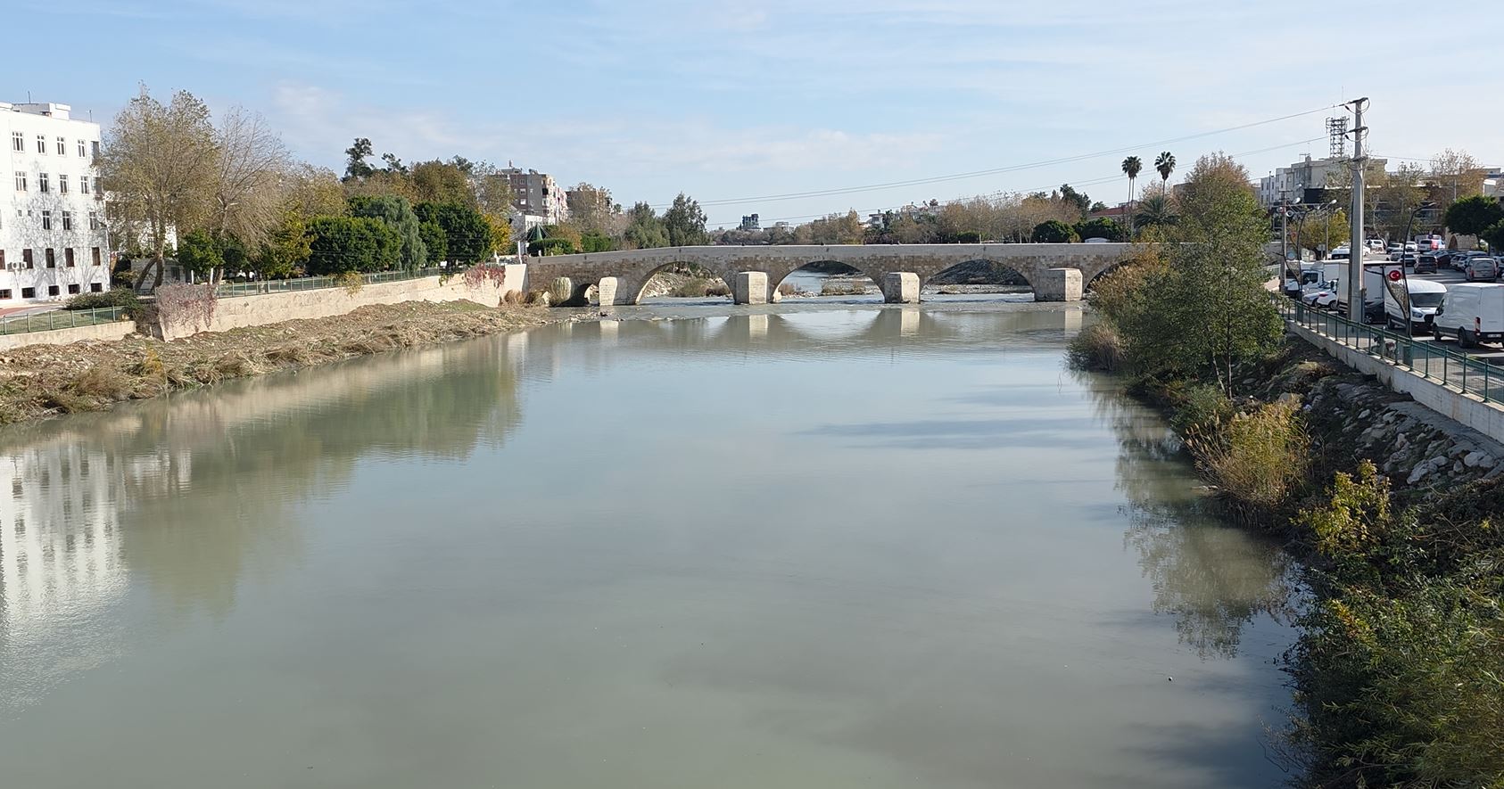 Mersin'de Göksu Nehri, zeytin