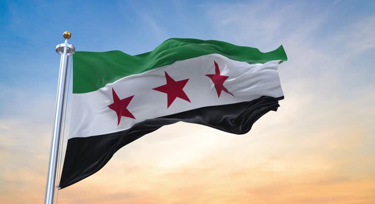 Birleşmiş Milletler Güvenlik Konseyi heyeti,