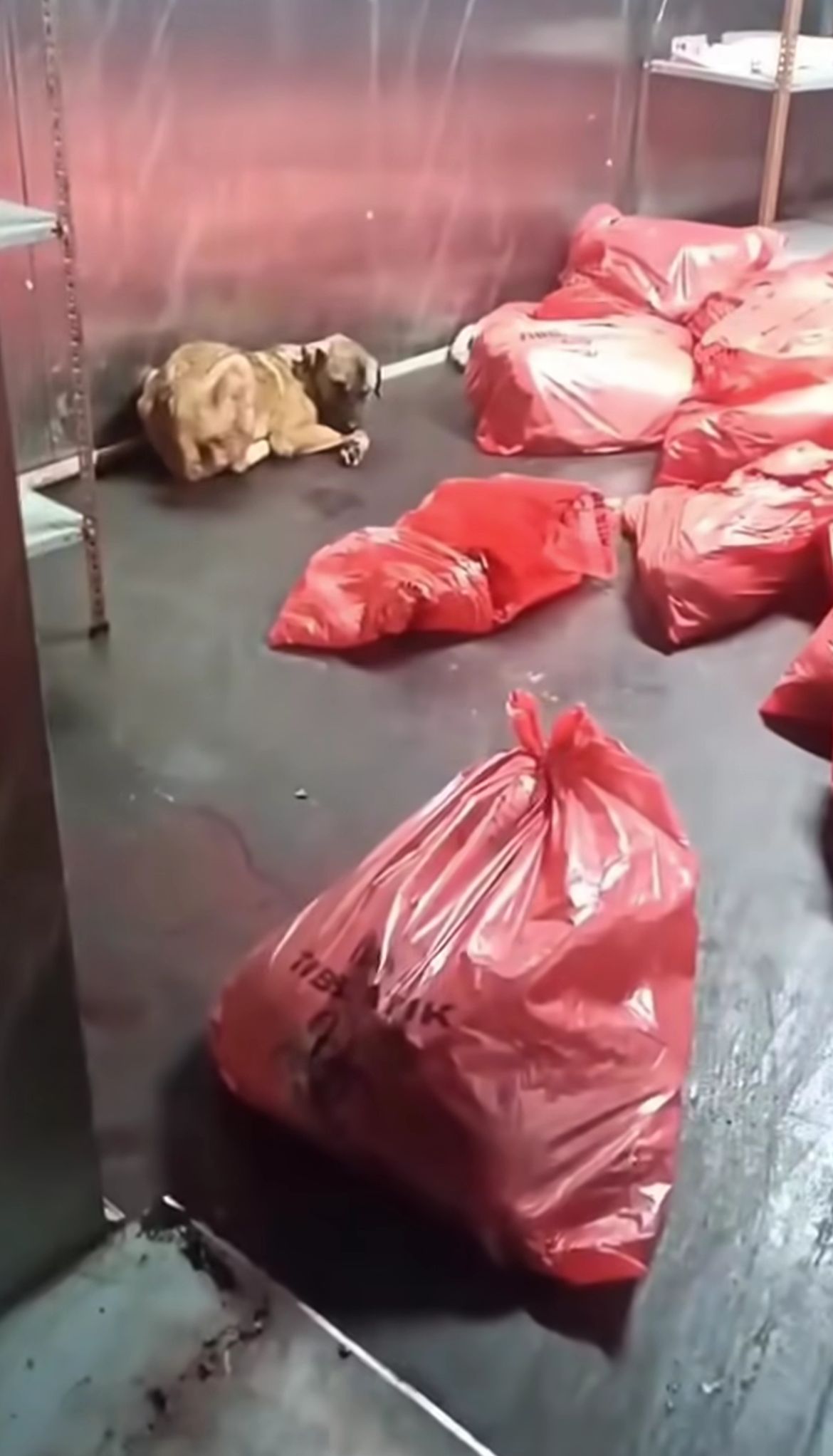 Ankara Büyükşehir Belediyesi, Karataş Hayvan