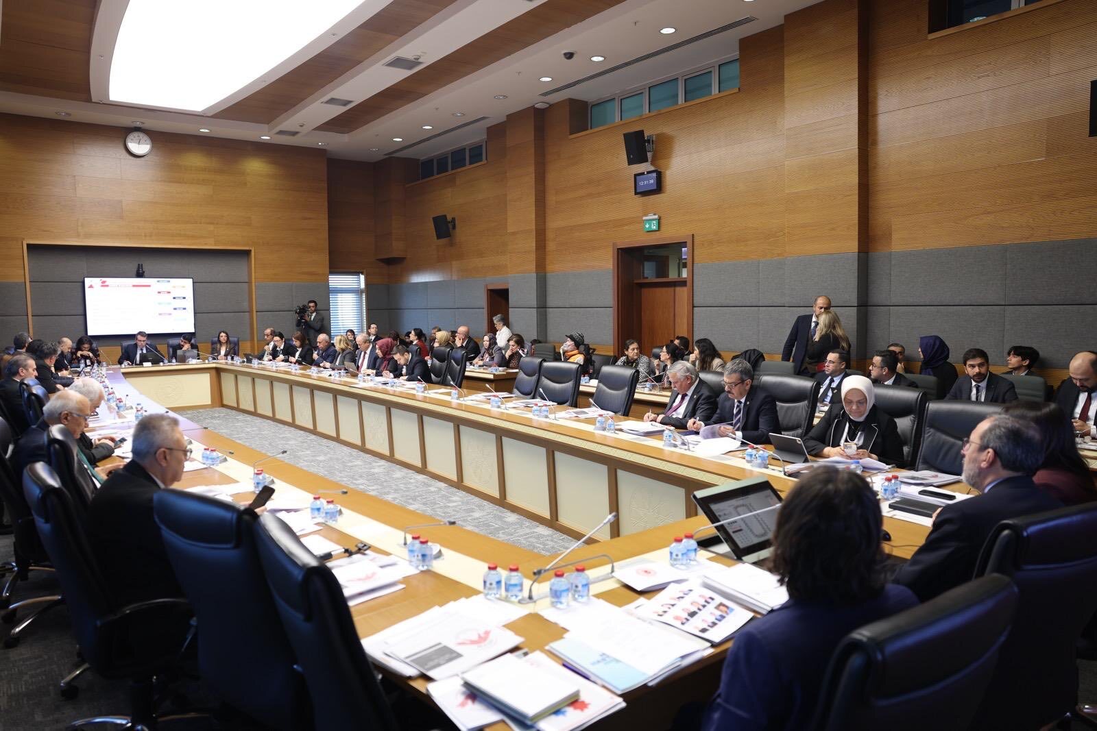 TBMM Engelli Bireylerin Sorunlarını Araştırma