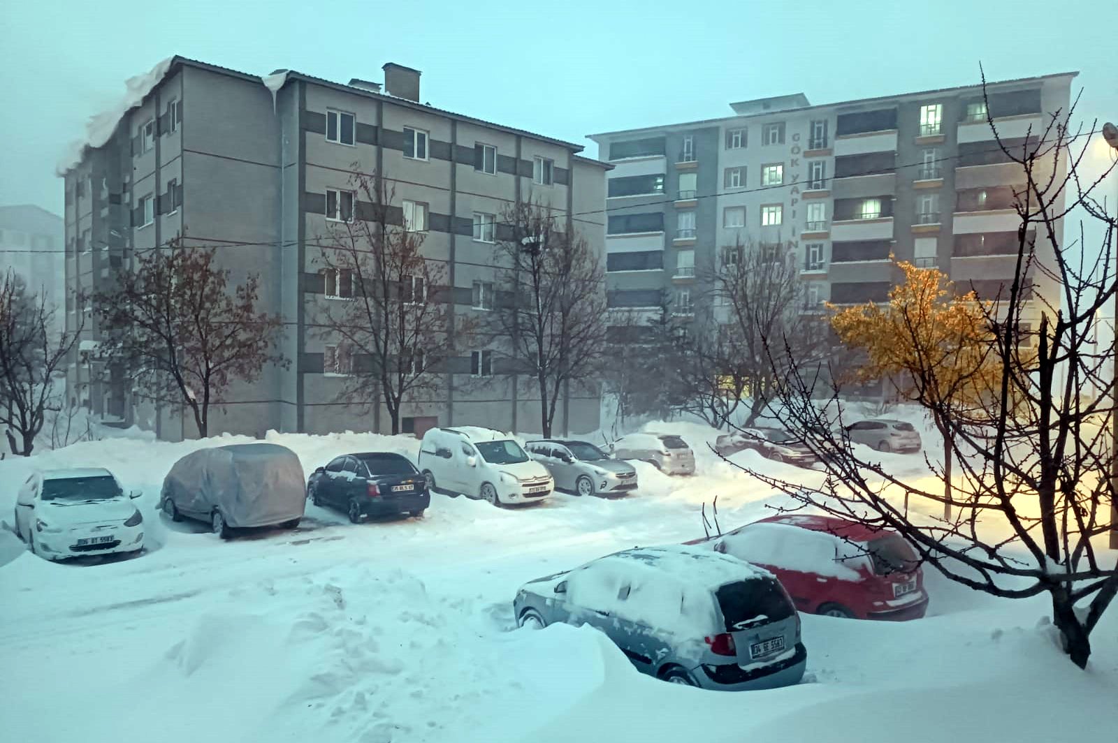 Bitlis Valiliği, yoğun kar