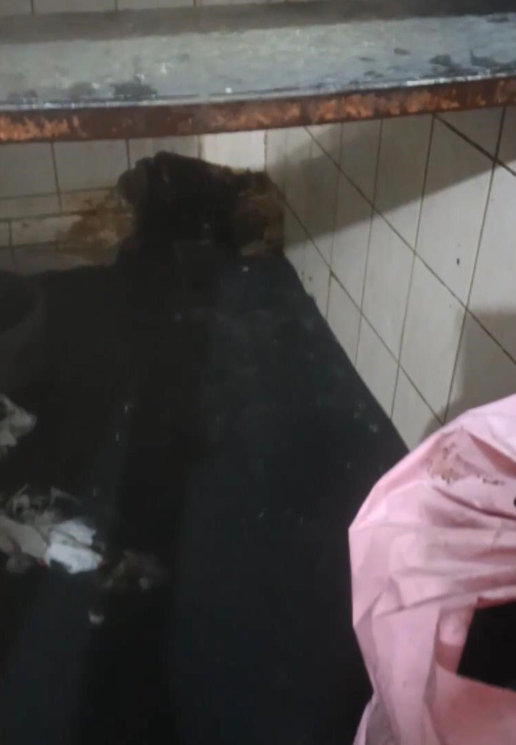 Sultangazi’de Atık Su Krizi: Esnaf ve Mahalle Sakinleri 1,5 Yıldır Mücadele Ediyor