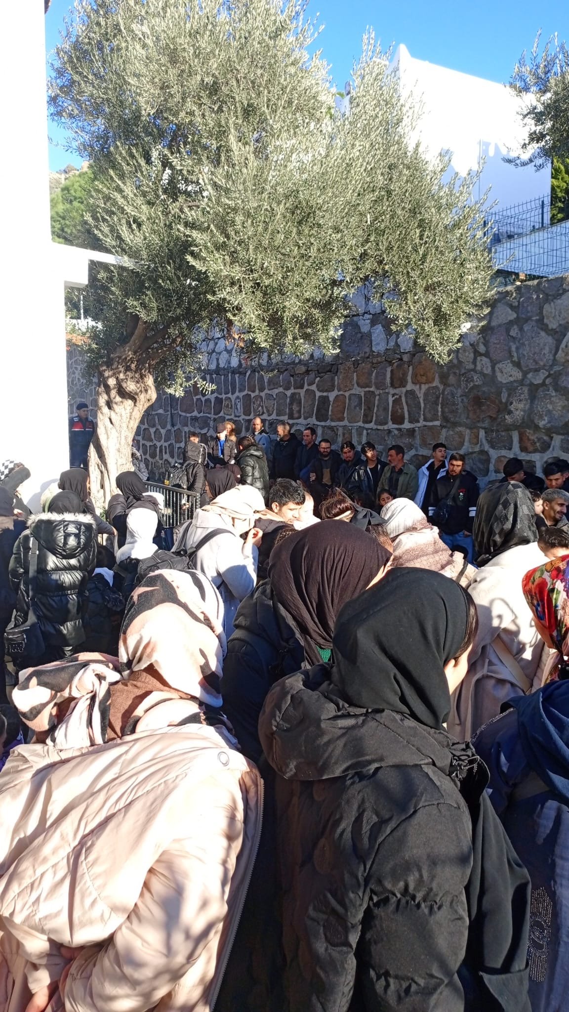 Bodrum'da yurt dışına kaçma hazırlığındaki