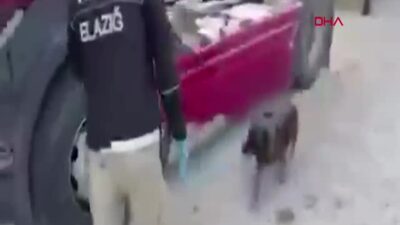 Elazığ’da Büyük Uyuşturucu Operasyonu: TIR’da Yakalanan Metamfetaminle 4 Kişi Tutuklandı