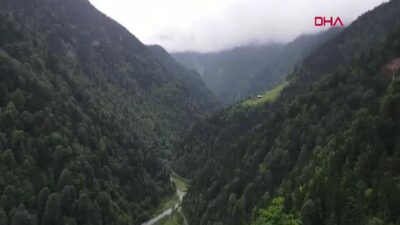 Rize Valisi Baydaş’tan Kritik Uyarı: ‘Orman Varlığımız Risk Altında, Rehavete Düşmeyelim’