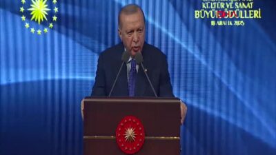Cumhurbaşkanı Erdoğan, Kültür ve Sanat